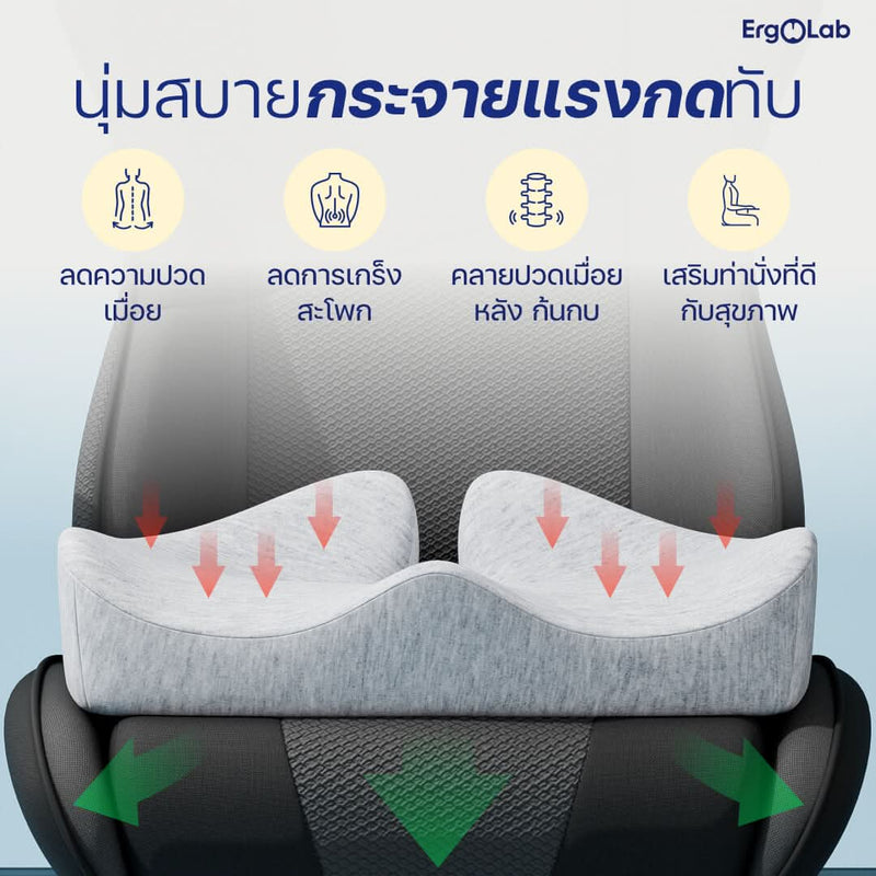 เบาะรองนั่ง MAX