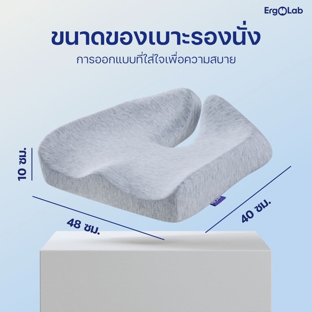 เบาะรองนั่ง MAX