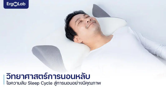 วิทยาศาสตร์การนอนหลับ