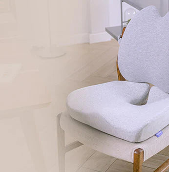 เบาะนั่ง