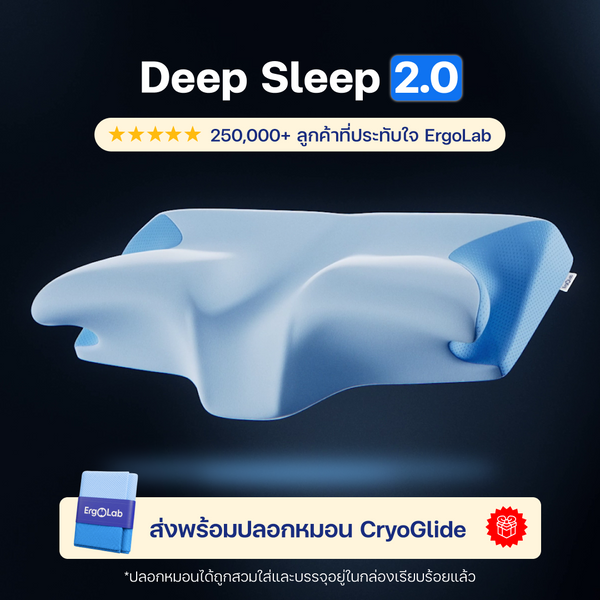 Deep Sleep Pillow 2.0