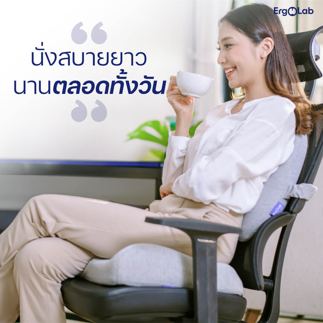 เบาะรองนั่ง MAX