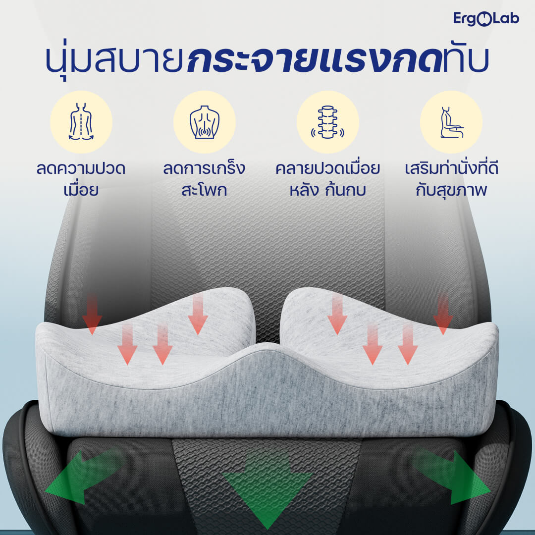 เบาะรองนั่ง MAX