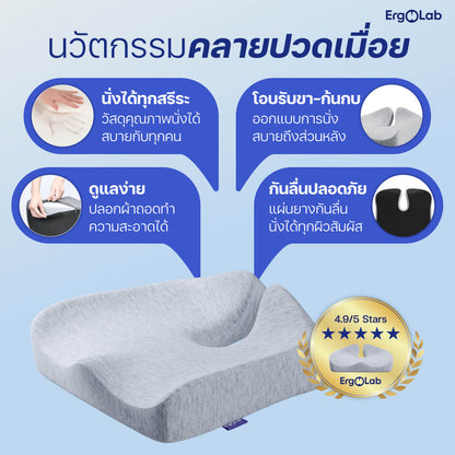 เบาะรองนั่ง MAX