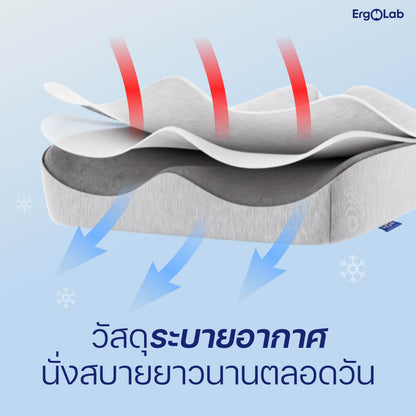 เบาะรองนั่ง MAX