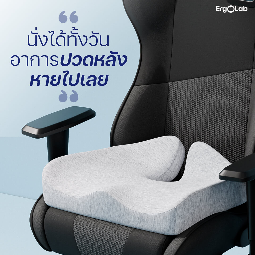 เบาะรองนั่ง MAX