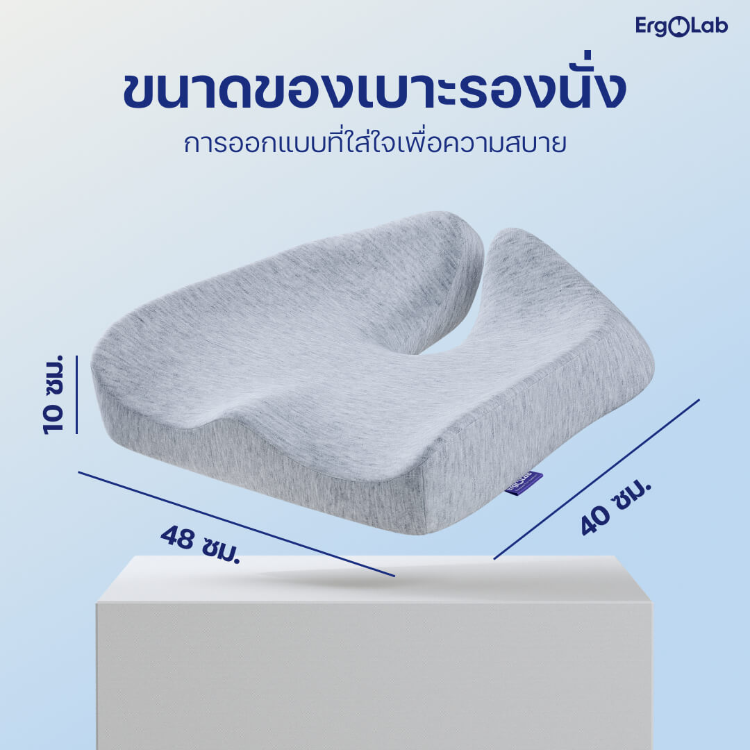 เบาะรองนั่ง MAX