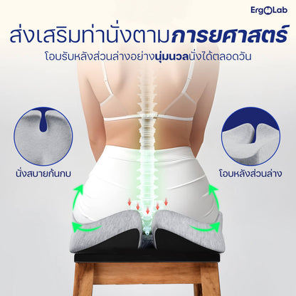 เบาะรองนั่ง MAX