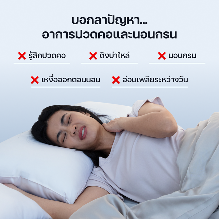 หมอน Deep Sleep 2.0