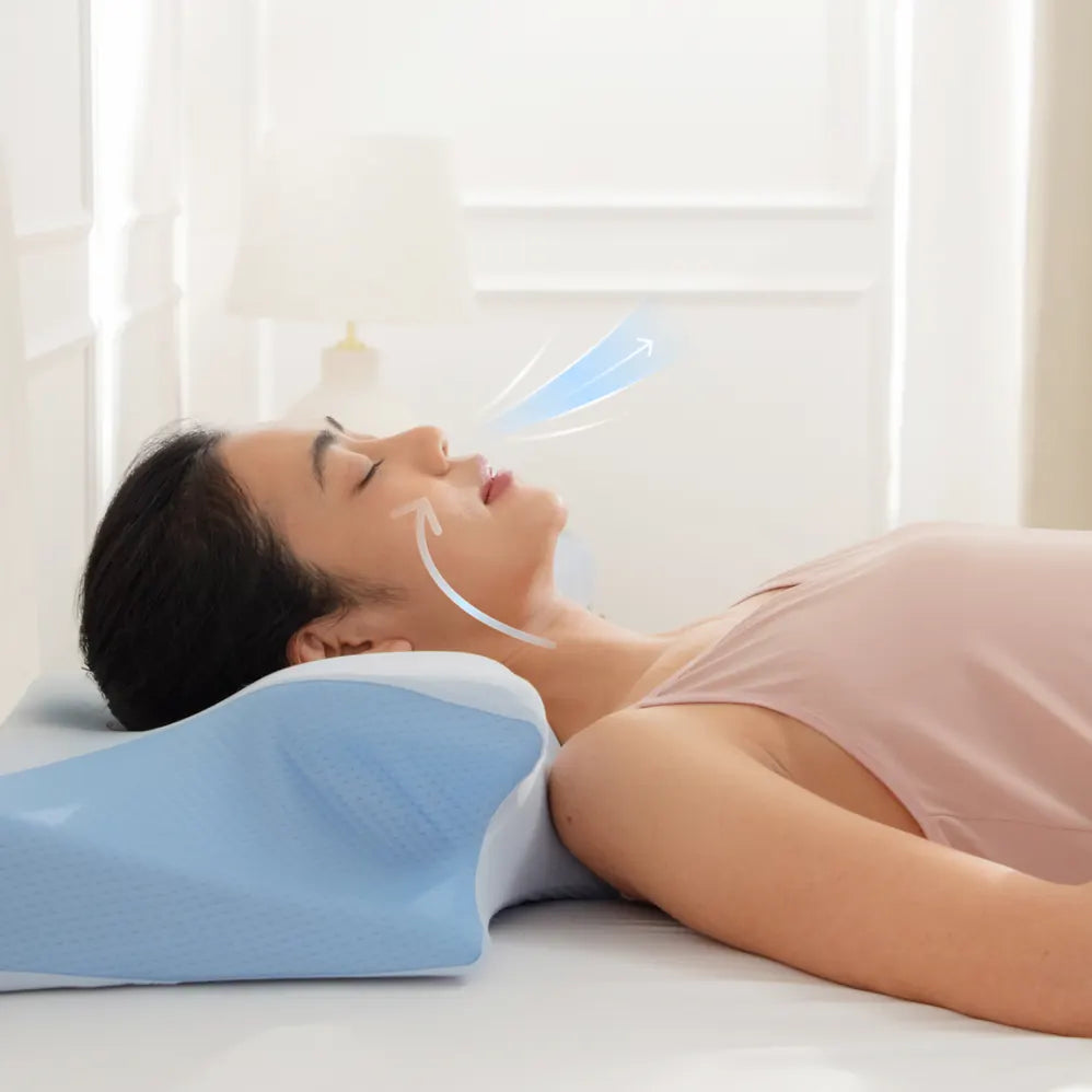 ศีรษะและคออยู่ในแนวที่เหมาะสมบนหมอน Deep Sleep 2.0